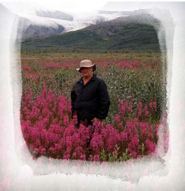 alaska wildflowers 2002